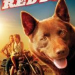 Poster for the movie "Red Dog"